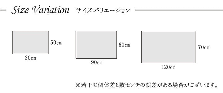 玄関マット 60x90cm トルコ製 ウィルトン織 抗菌防臭 カービング 消臭