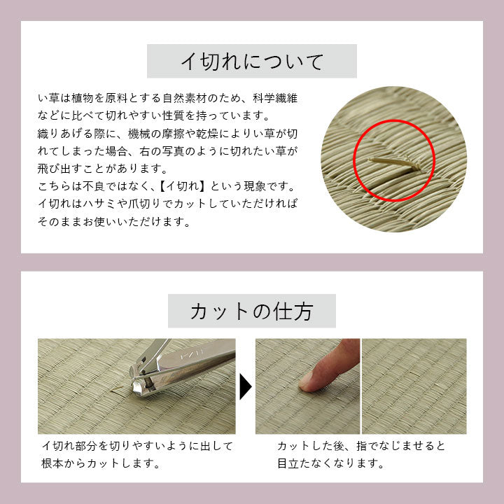 い草 ベンチシート 35x100cm 天然素材 クッション 抗菌防臭 ベンチパッド