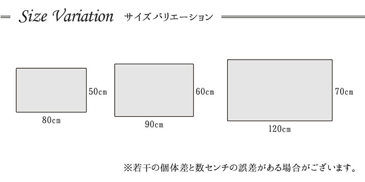玄関マット 60x90cm ギャベ柄 ウィルトン織 消臭 抗菌 軽量 トルコ製