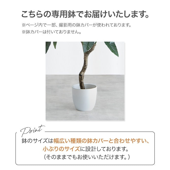 大型サイズ 観葉植物 フェイクグリーン 光触媒 高さ150cmタイプ