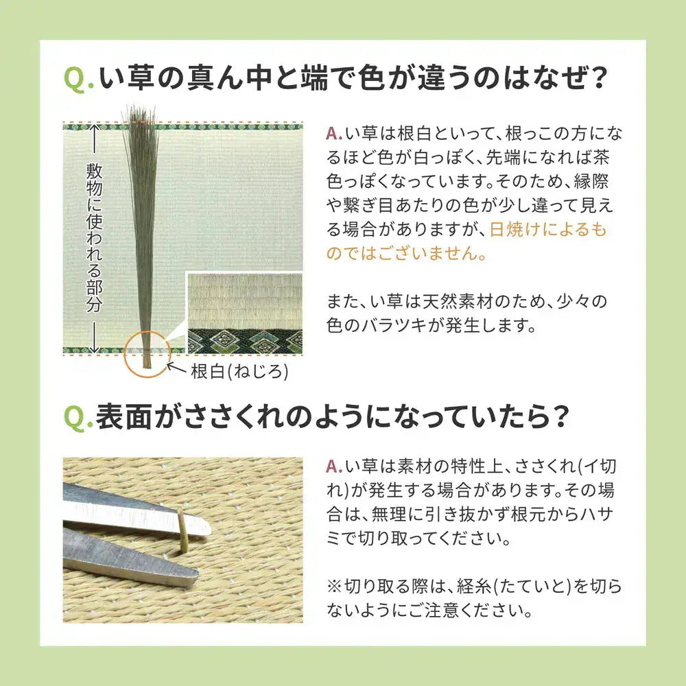 い草カーペット 和室 フリーカット 江戸間8帖(352x352cm) 補修テープ付き 部屋に合わせたカット可能