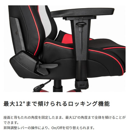 ゲーミングチェア Pro-X V2 ハイグレードモデル AKRacing 4Dアジャスタブルアームレスト 180度フルフラットリクライニング 3年保証