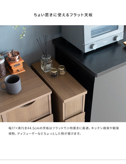 ゴミ箱に見えない すきま収納 ゴミ箱 幅17cm キッチン 洗面所 収納 スリムダストボックス