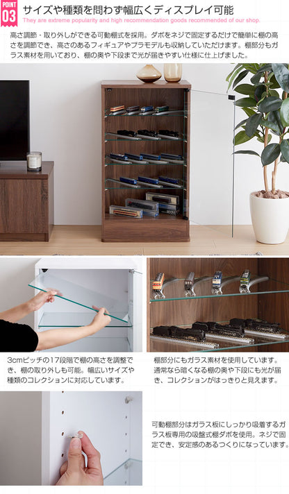 コレクションケース 幅46cm ガラス扉 ディスプレイケース ショーケース
