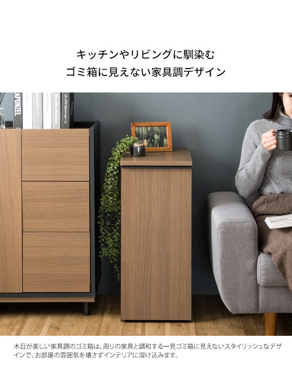 ゴミ箱に見えないゴミ箱 45L ダストボックス 引出しタイプ 幅30cm