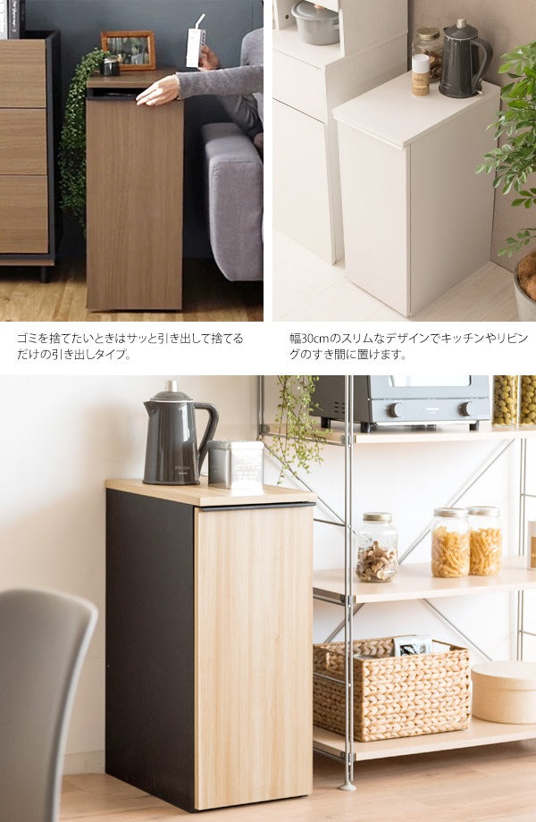 ゴミ箱に見えないゴミ箱 45L ダストボックス 引出しタイプ 幅30cm