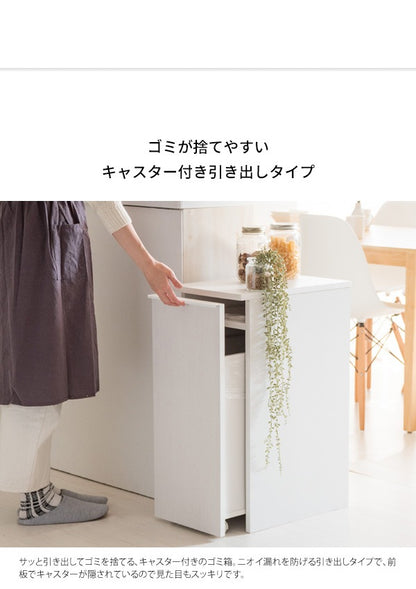 ゴミ箱に見えないゴミ箱 45L ダストボックス 引出しタイプ 幅30cm
