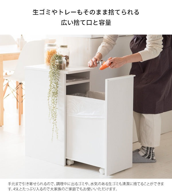 ゴミ箱に見えないゴミ箱 45L ダストボックス 引出しタイプ 幅30cm