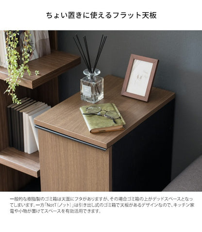 ゴミ箱に見えないゴミ箱 45L ダストボックス 引出しタイプ 幅30cm
