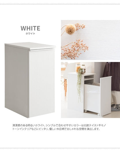 ゴミ箱に見えないゴミ箱 45L ダストボックス 引出しタイプ 幅30cm