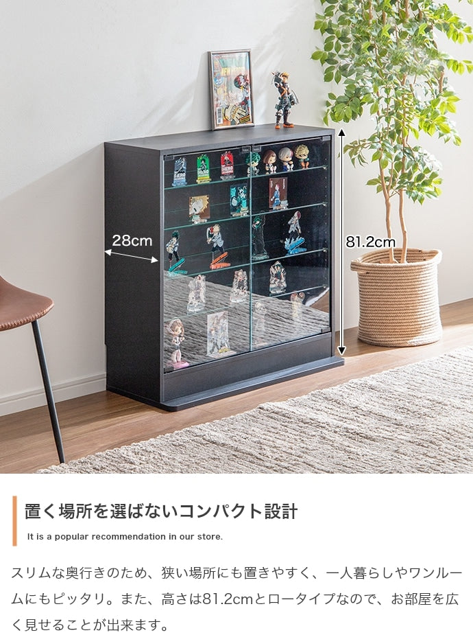 コレクションケース ショーケース 幅80cm ディスプレイ 内寸奥行28cm