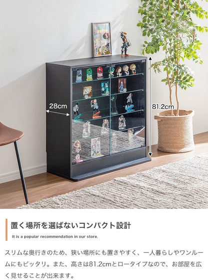 コレクションケース ショーケース 幅80cm ディスプレイ 内寸奥行28cm