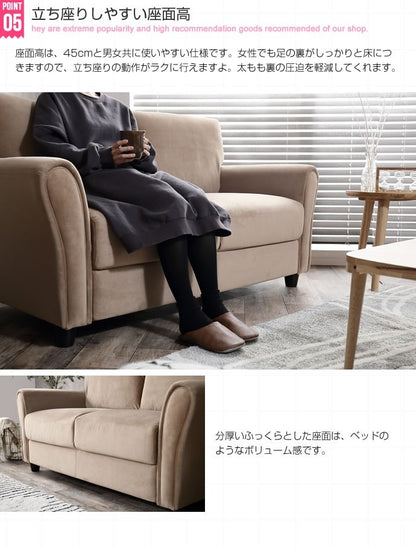 ベロアソファ 2人掛け 幅140cm 高級感漂う大人テイスト シンプル