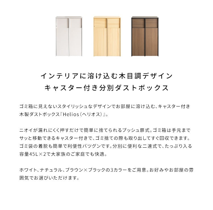 ゴミ箱 分別キャスターダストボックス 幅60cm スタイリッシュ 45Lx2