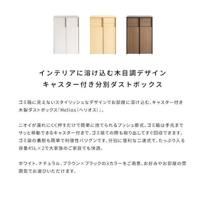 ゴミ箱 分別キャスターダストボックス 幅60cm スタイリッシュ 45Lx2
