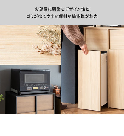 ゴミ箱 分別キャスターダストボックス 幅60cm スタイリッシュ 45Lx2