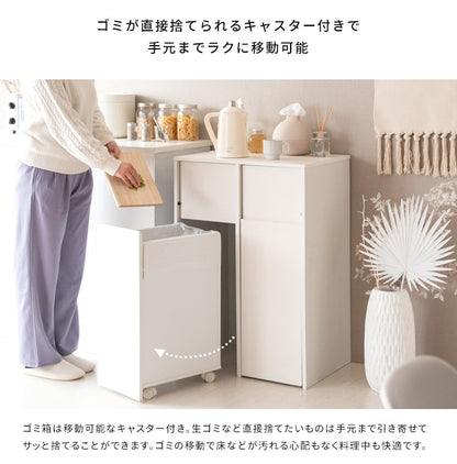 ゴミ箱 分別キャスターダストボックス 幅60cm スタイリッシュ 45Lx2