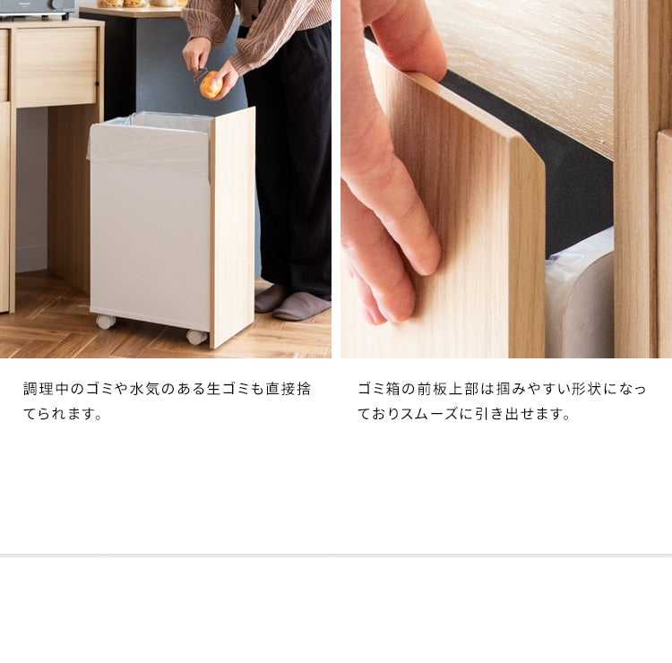 ゴミ箱 分別キャスターダストボックス 幅60cm スタイリッシュ 45Lx2