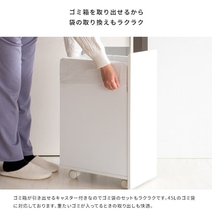 ゴミ箱 分別キャスターダストボックス 幅60cm スタイリッシュ 45Lx2