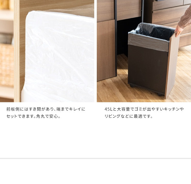 ゴミ箱 分別キャスターダストボックス 幅60cm スタイリッシュ 45Lx2