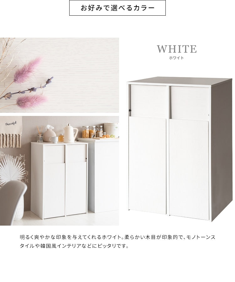 ゴミ箱 分別キャスターダストボックス 幅60cm スタイリッシュ 45Lx2
