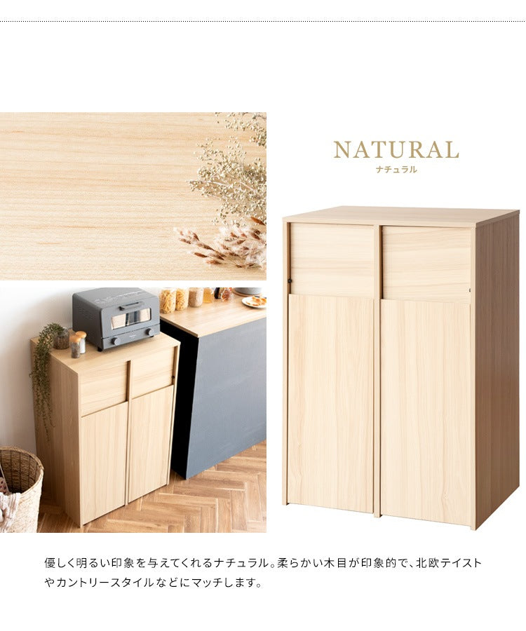 ゴミ箱 分別キャスターダストボックス 幅60cm スタイリッシュ 45Lx2