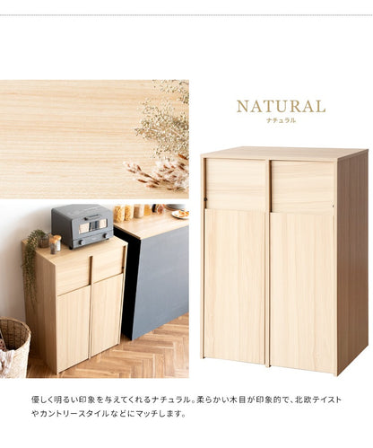 ゴミ箱 分別キャスターダストボックス 幅60cm スタイリッシュ 45Lx2