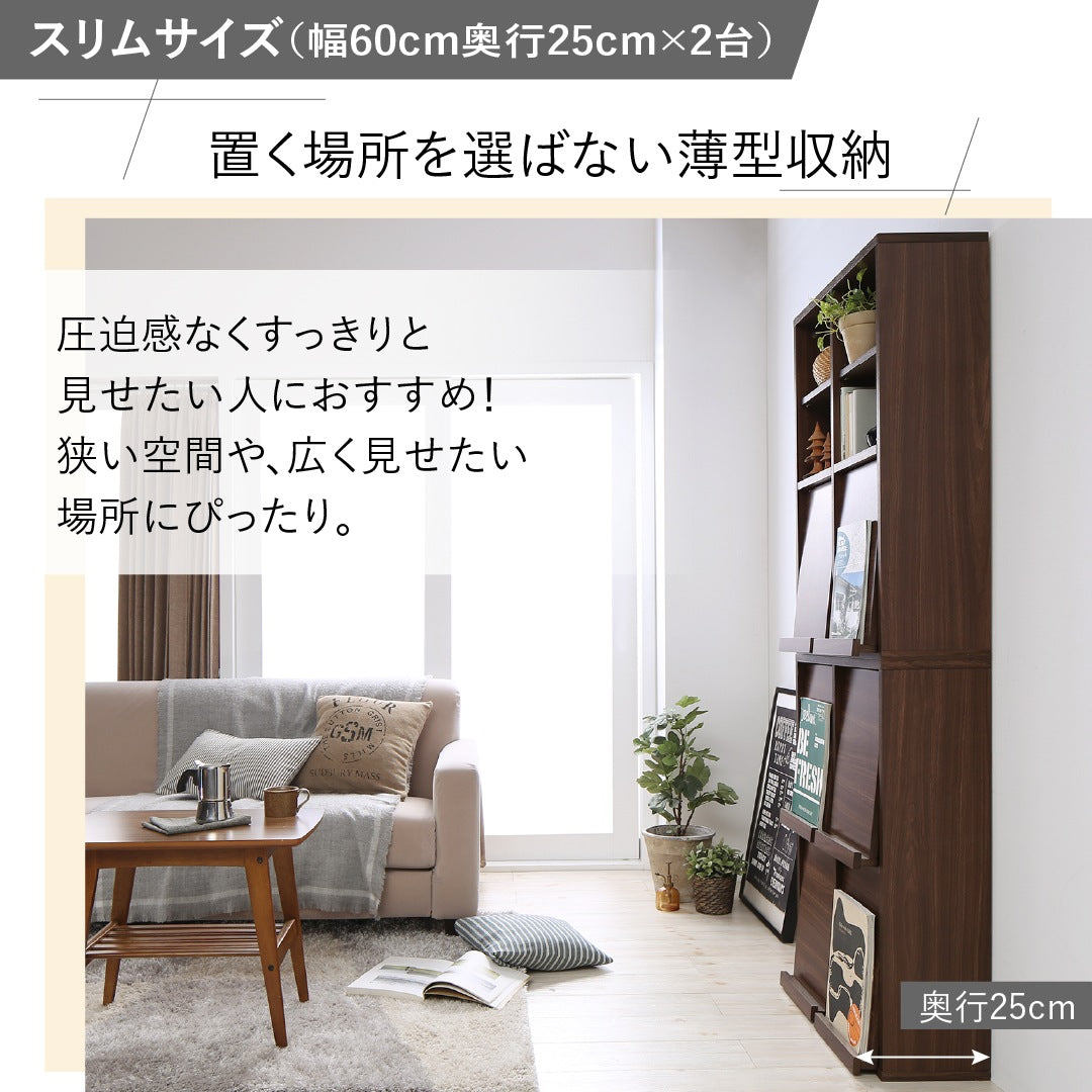 棚 2点セット (オープンタイプ+フラップ扉タイプ) 薄型 幅60cm 奥行25cm