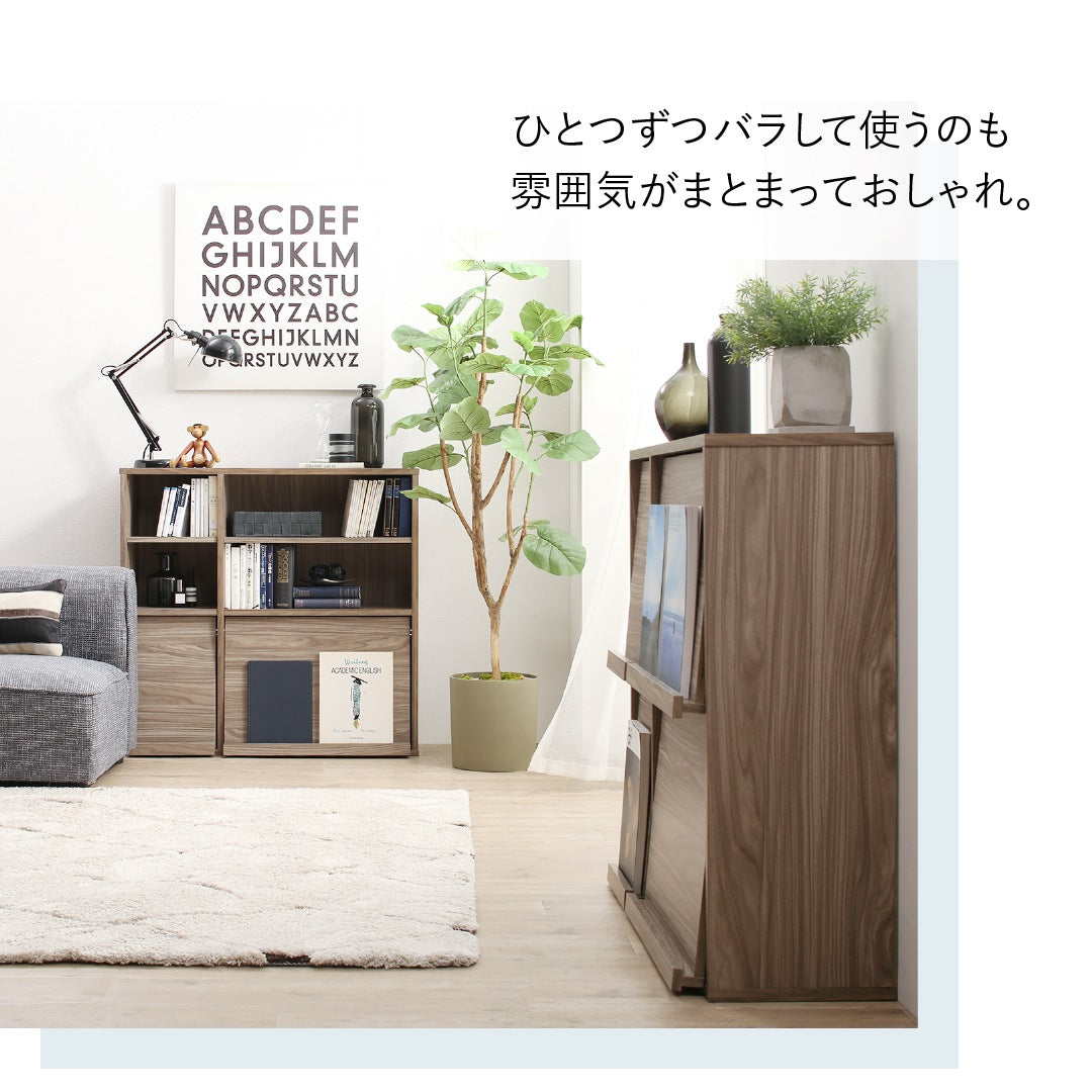 棚 2点セット (オープンタイプ+フラップ扉タイプ) 薄型 幅60cm 奥行25cm