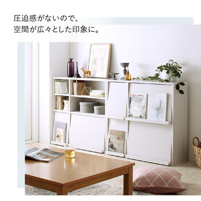 棚 2点セット (オープンタイプ+フラップ扉タイプ) 薄型 幅60cm 奥行25cm