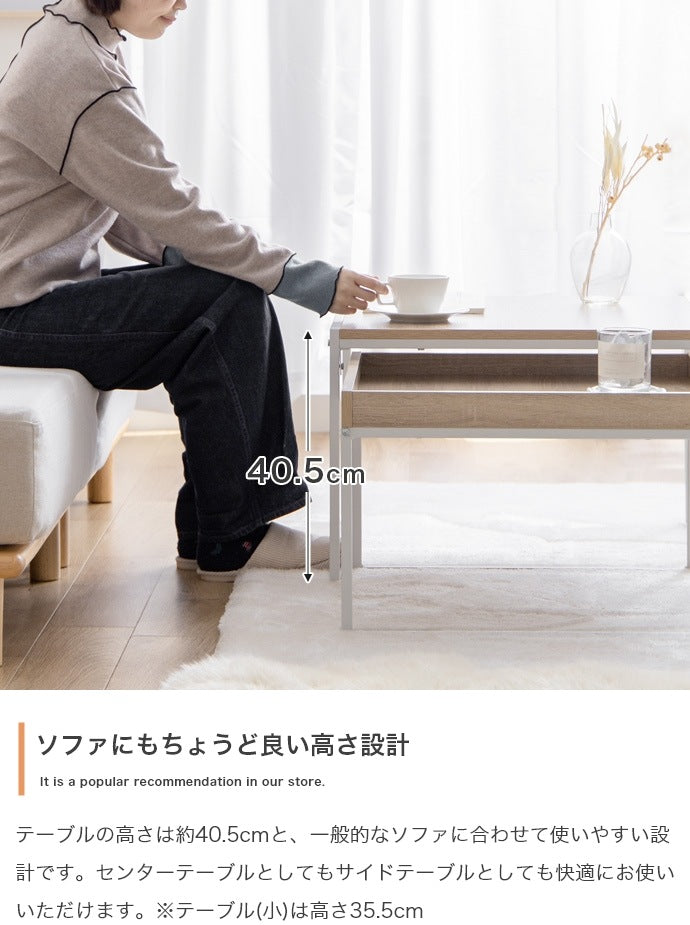 ネストテーブル 2点セット センターテーブル サイドテーブル ミニテーブル