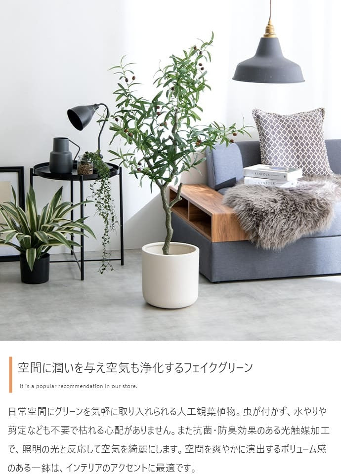 人工観葉植物 オリーブ 光触媒 フェイクグリーン 高さ85cm