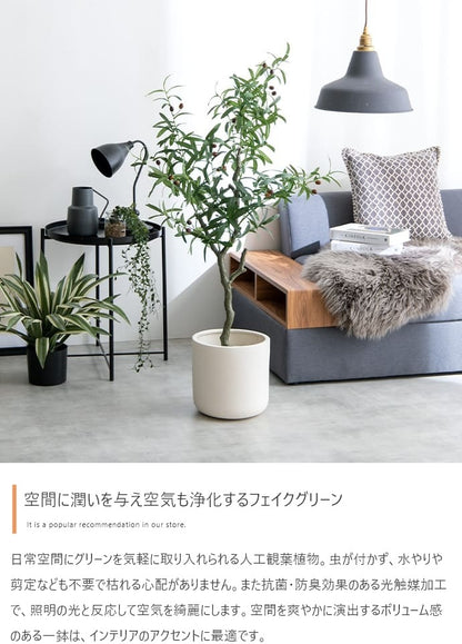 人工観葉植物 オリーブ 光触媒 フェイクグリーン 高さ85cm