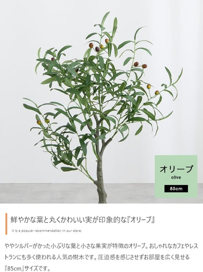 人工観葉植物 オリーブ 光触媒 フェイクグリーン 高さ85cm