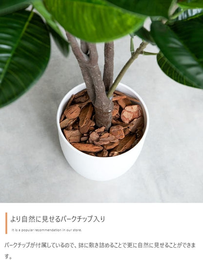 人工観葉植物 オリーブ 光触媒 フェイクグリーン 高さ85cm