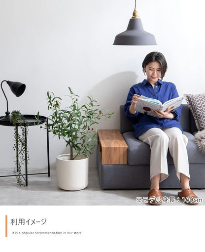 人工観葉植物 オリーブ 光触媒 フェイクグリーン 高さ85cm