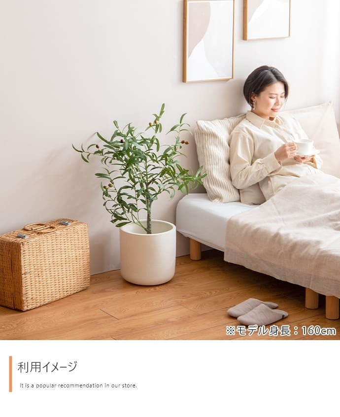 人工観葉植物 オリーブ 光触媒 フェイクグリーン 高さ85cm