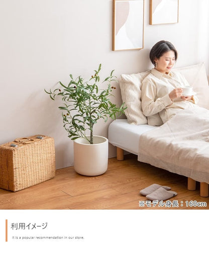 人工観葉植物 オリーブ 光触媒 フェイクグリーン 高さ85cm