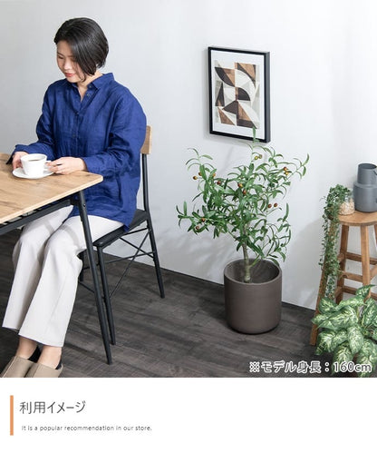 人工観葉植物 オリーブ 光触媒 フェイクグリーン 高さ85cm