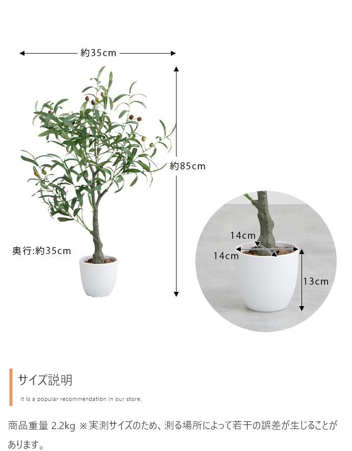 人工観葉植物 オリーブ 光触媒 フェイクグリーン 高さ85cm