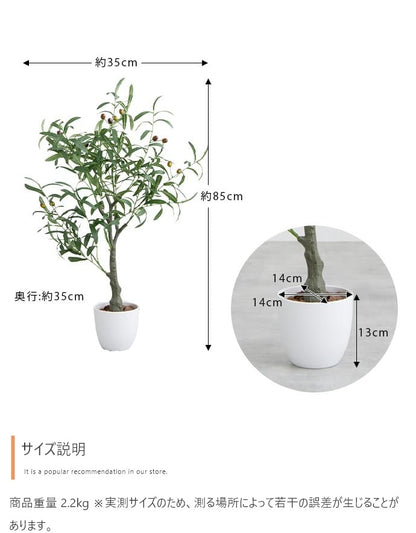 人工観葉植物 オリーブ 光触媒 フェイクグリーン 高さ85cm
