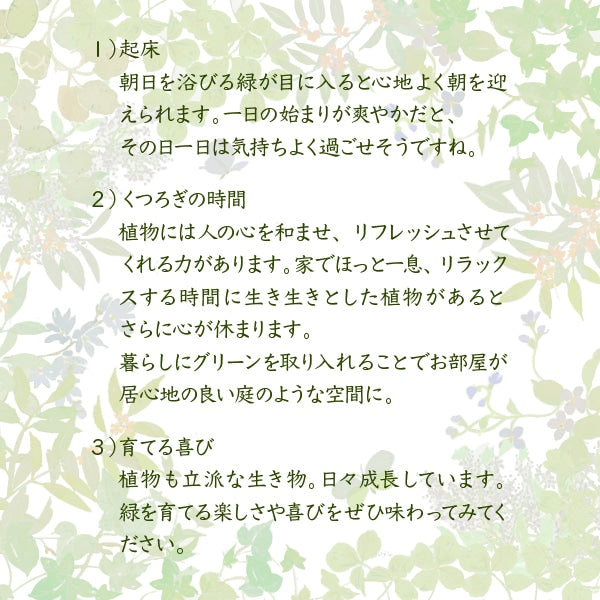 スタンドミラー 姿見 ナチュラル 全身鏡 木製