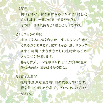 スタンドミラー 姿見 ナチュラル 全身鏡 木製