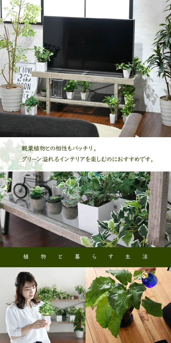 テレビ台 ローボード 幅100cm ガラスx古木 ナチュラルインテリア
