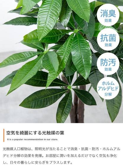 人工観葉植物 フェイクグリーン 光触媒 パキラ 高さ90cm