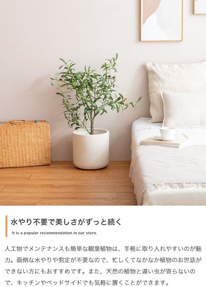 人工観葉植物 フェイクグリーン 光触媒 パキラ 高さ90cm
