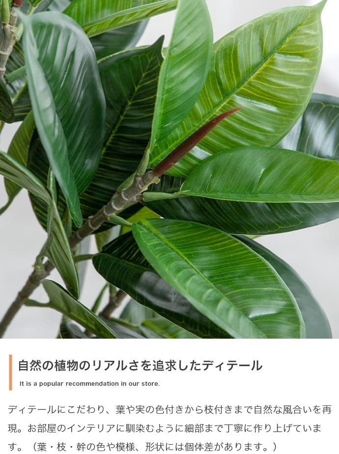人工観葉植物 フェイクグリーン 光触媒 パキラ 高さ90cm