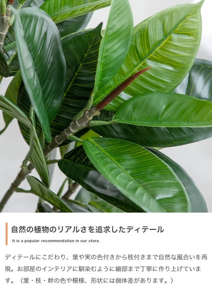 人工観葉植物 フェイクグリーン 光触媒 パキラ 高さ90cm