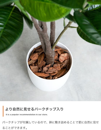 人工観葉植物 フェイクグリーン 光触媒 パキラ 高さ90cm