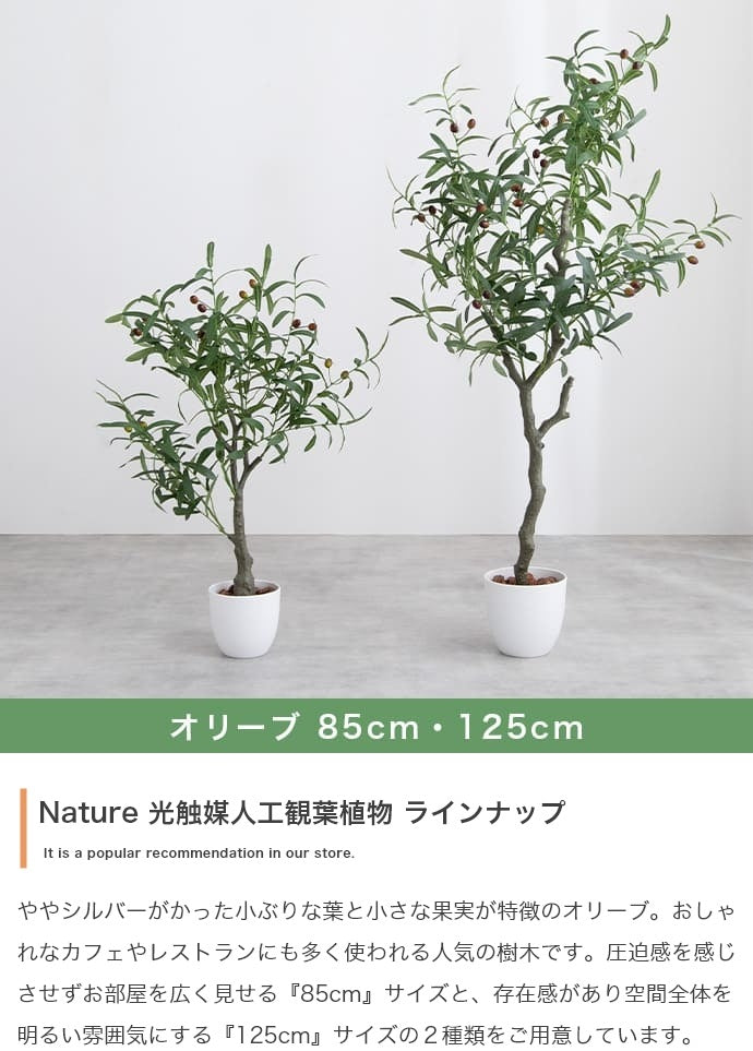 人工観葉植物 フェイクグリーン 光触媒 パキラ 高さ90cm